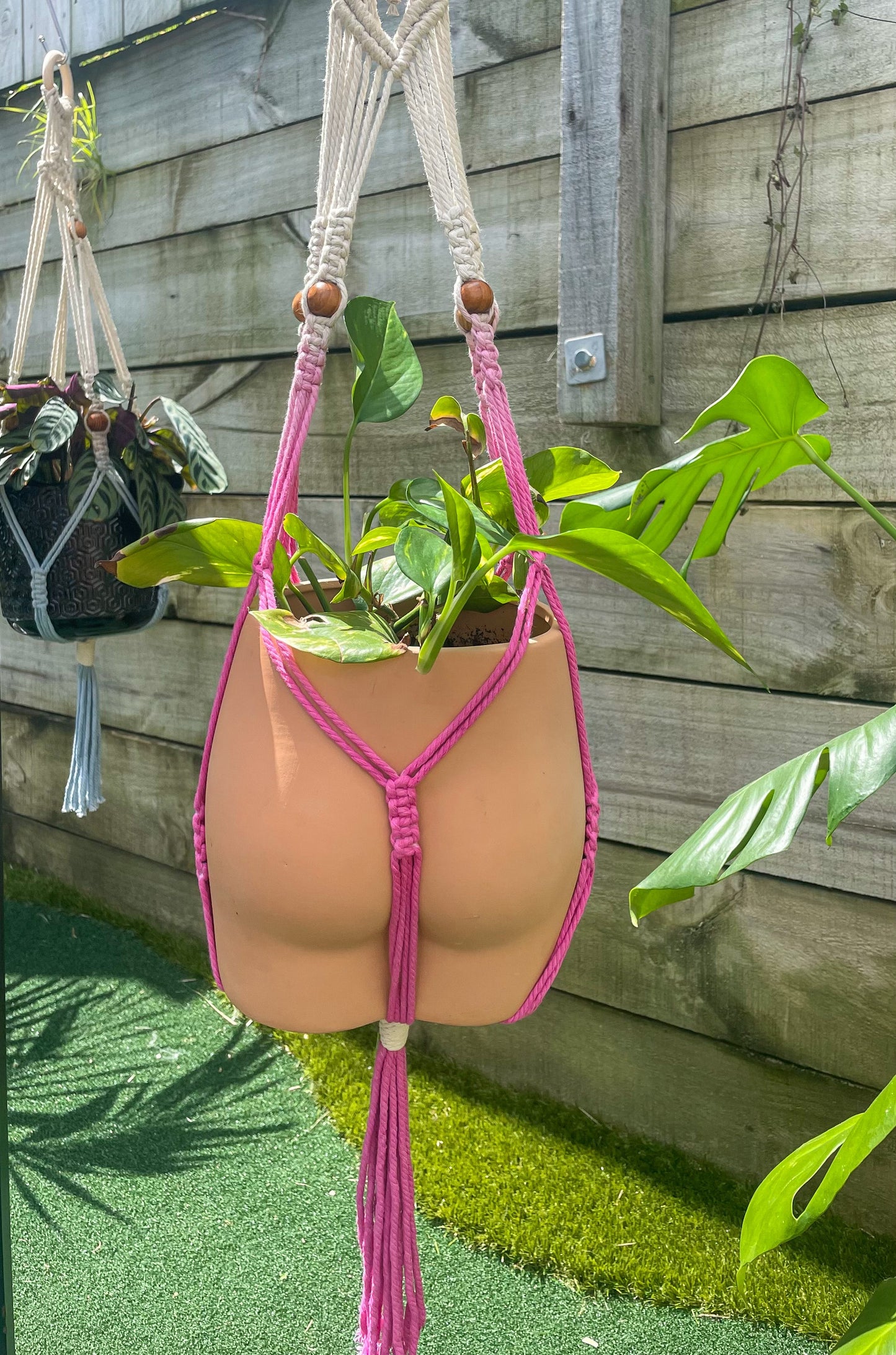 Lotus Plant Hanger