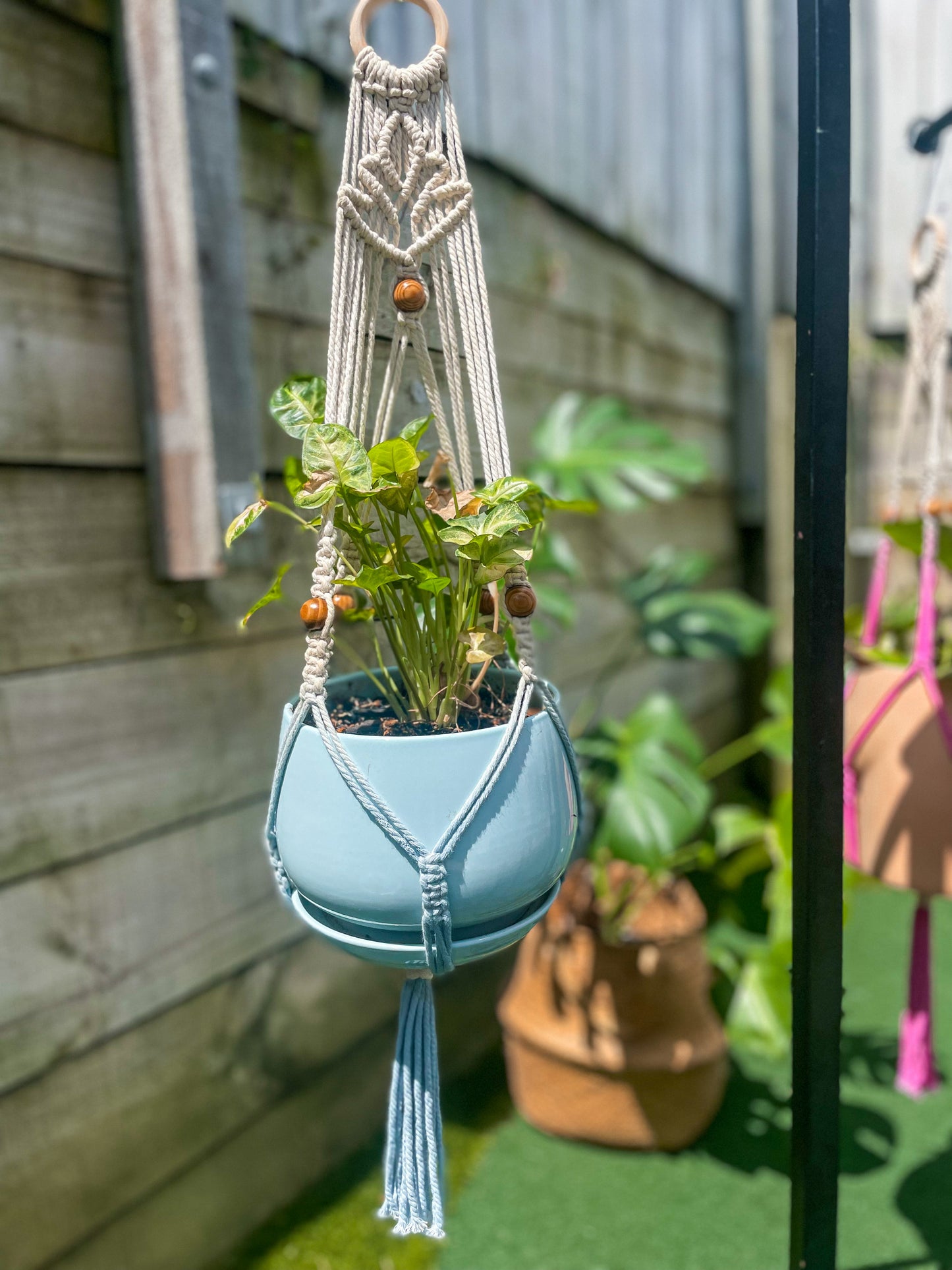 Lotus Plant Hanger