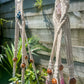 Crystal Plant Hanger