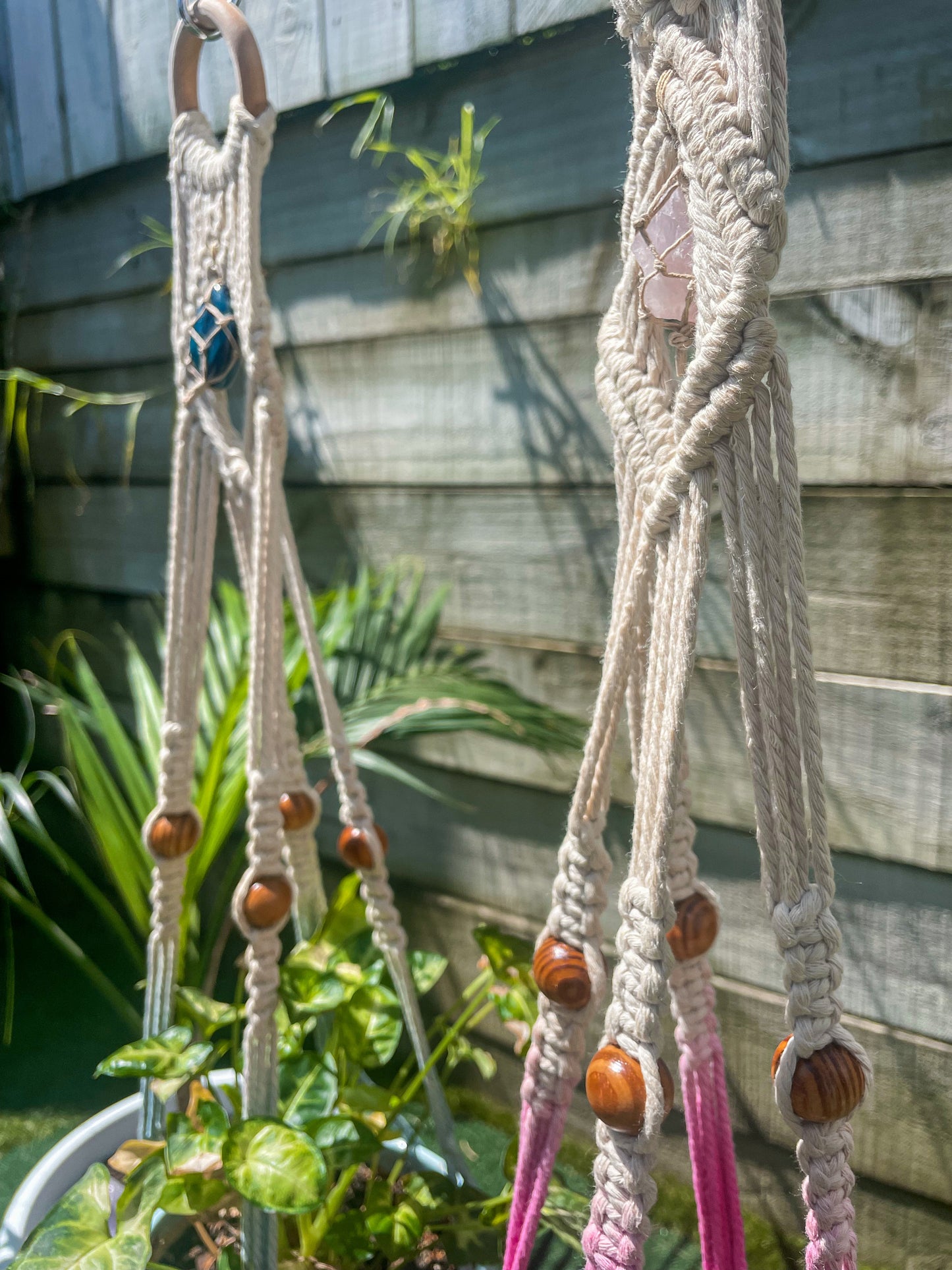 Crystal Plant Hanger