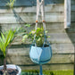 Crystal Plant Hanger