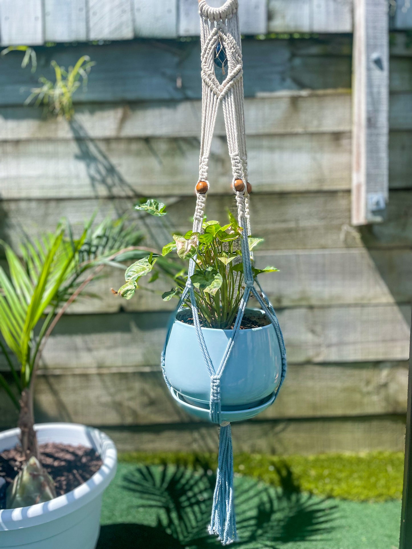 Crystal Plant Hanger