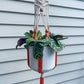 Crystal Plant Hanger