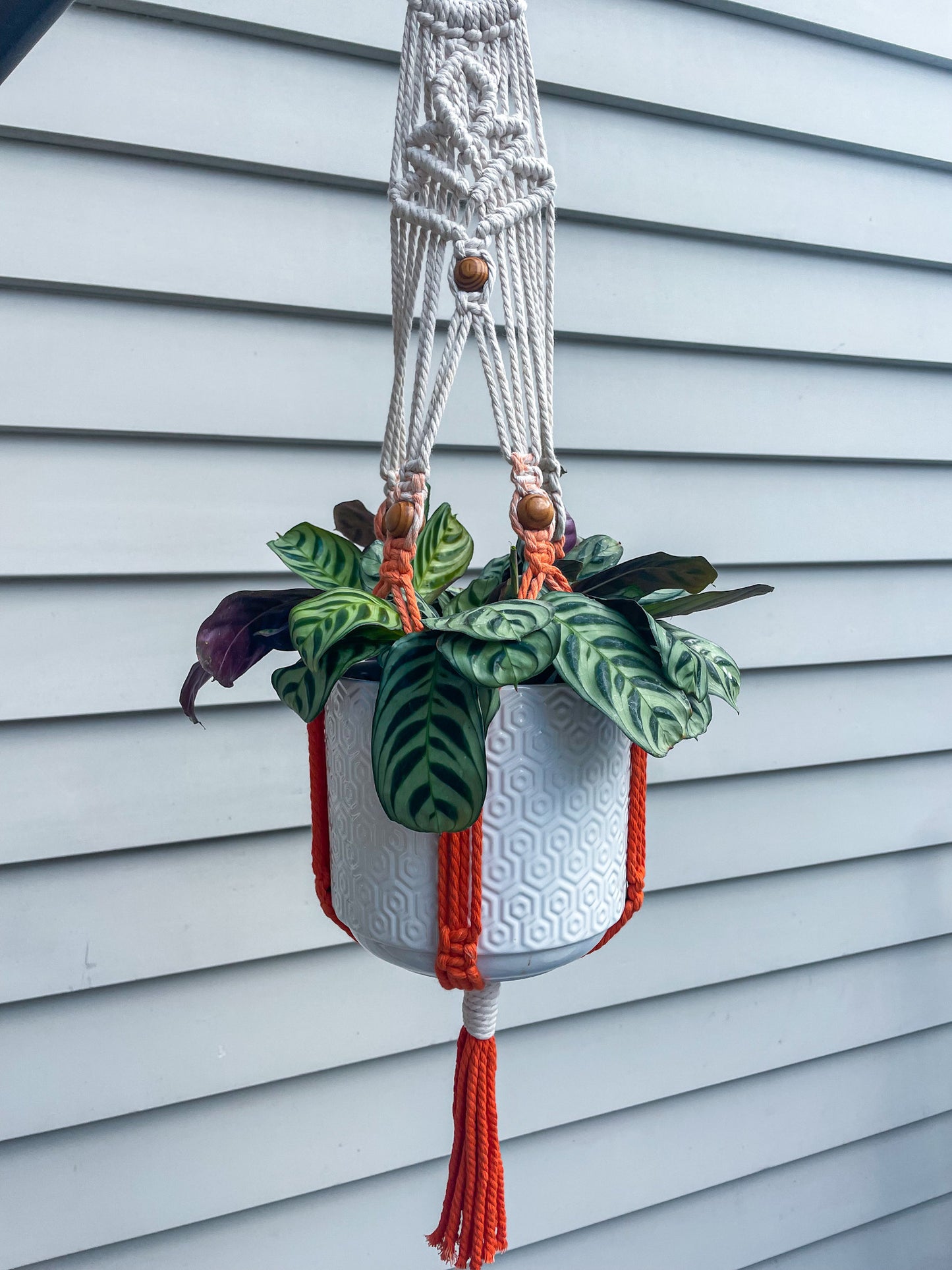 Crystal Plant Hanger