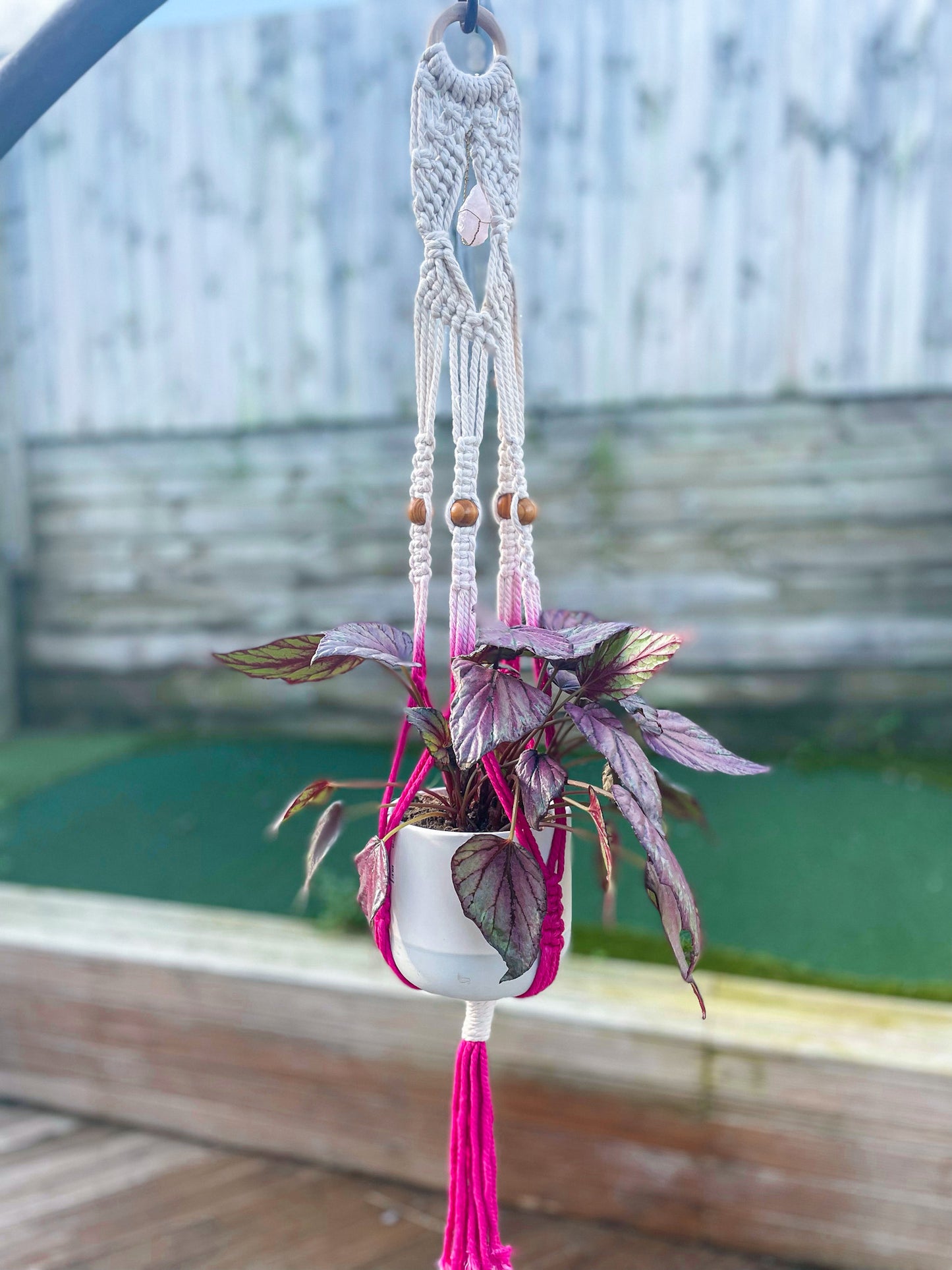 Crystal Plant Hanger